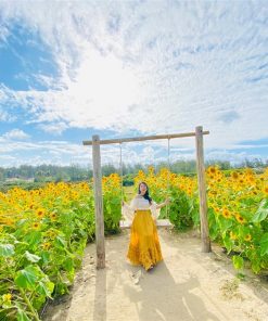 Tour Gành Đá Dĩa – Nhà thờ Mằng Lăng – Đầm Ô Loan – Bãi Xép 1 ngày: Thưởng thức Buffet Hải sản