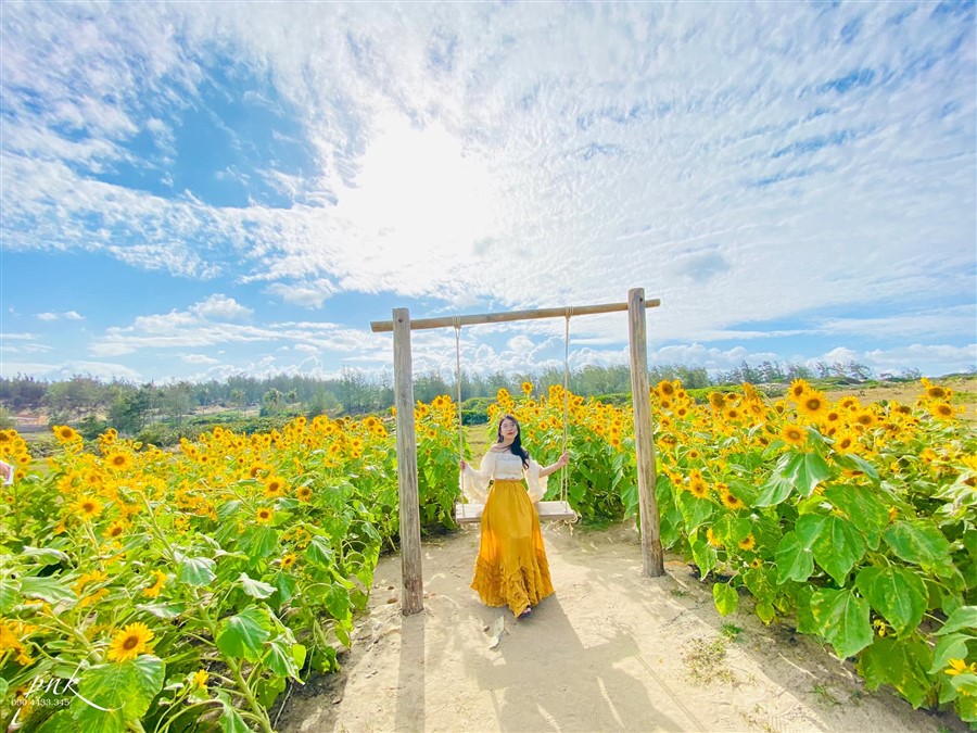 Tour Gành Đá Dĩa – Nhà thờ Mằng Lăng – Đầm Ô Loan – Bãi Xép 1 ngày: Thưởng thức Buffet Hải sản