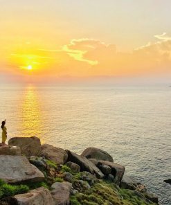 Tour Phú Yên 2 ngày 1 đêm: Tôi thấy hoa vàng trên cỏ xanh