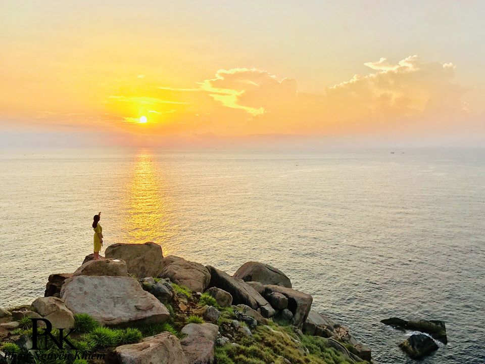 Tour Phú Yên 2 ngày 1 đêm: Tôi thấy hoa vàng trên cỏ xanh