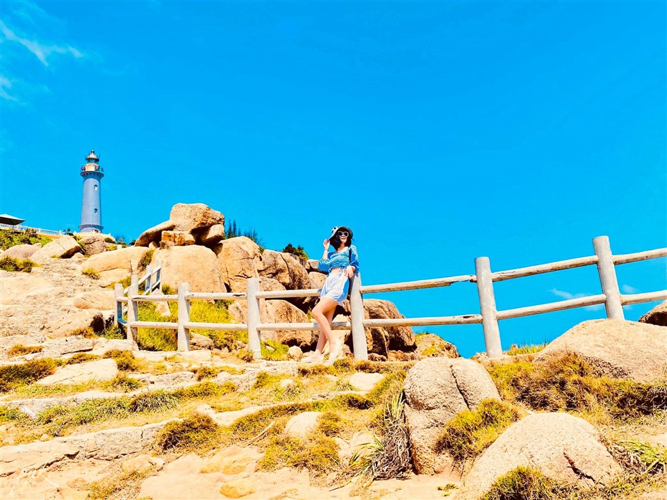 Tour Phú Yên 3 ngày 2 đêm: Hành trình khám phá đất Phú